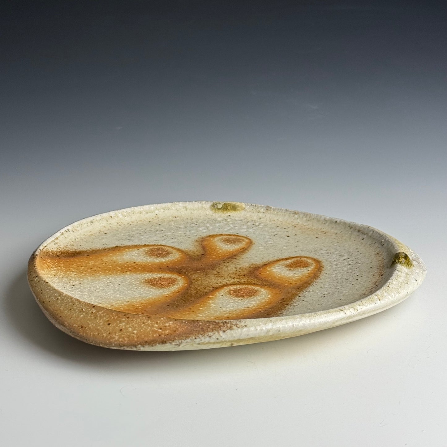 Dinner plate with a carved lip