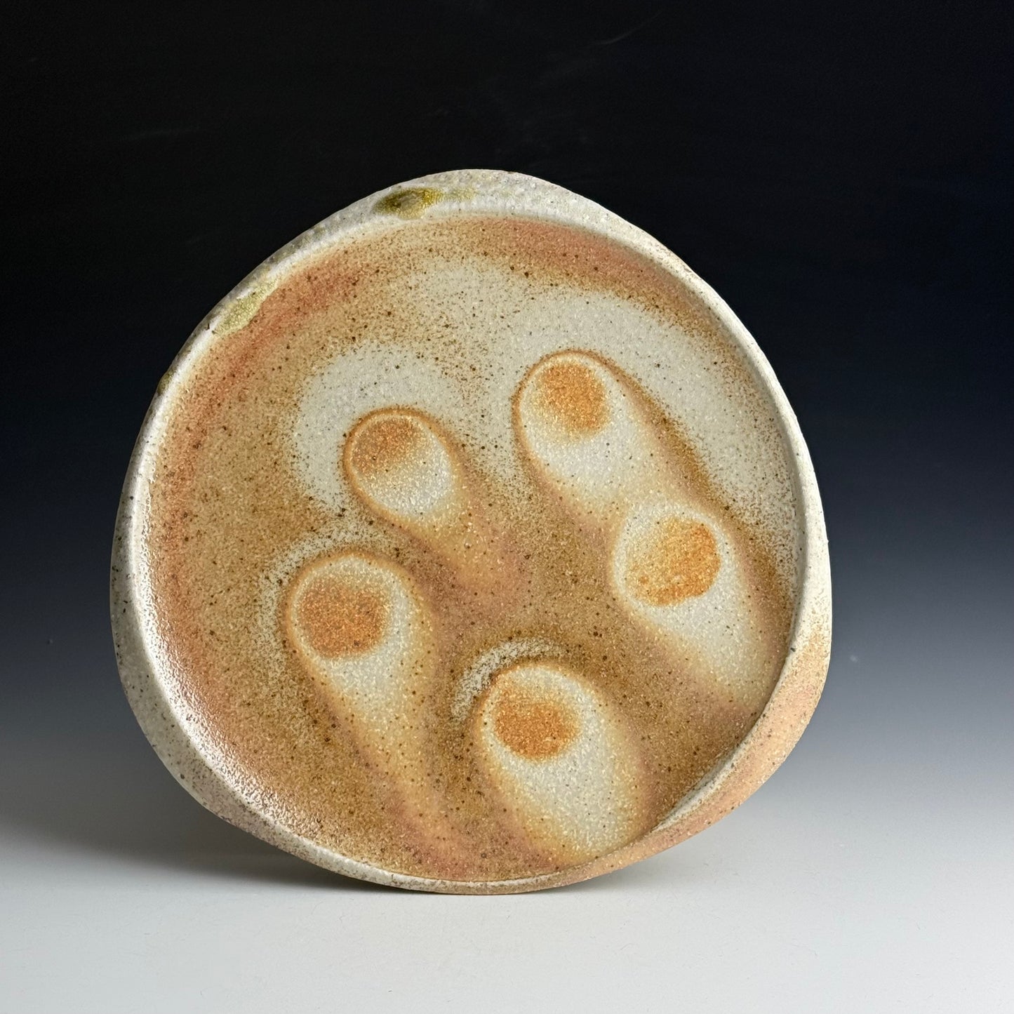 Dinner plate with a carved lip