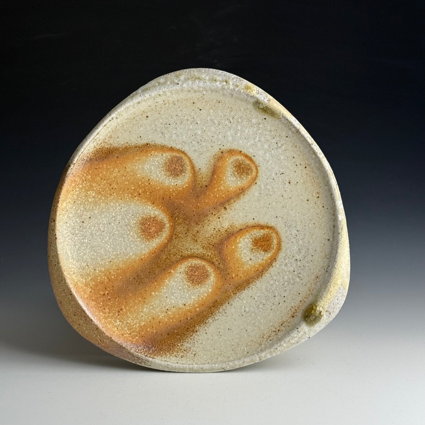 Dinner plate with a carved lip
