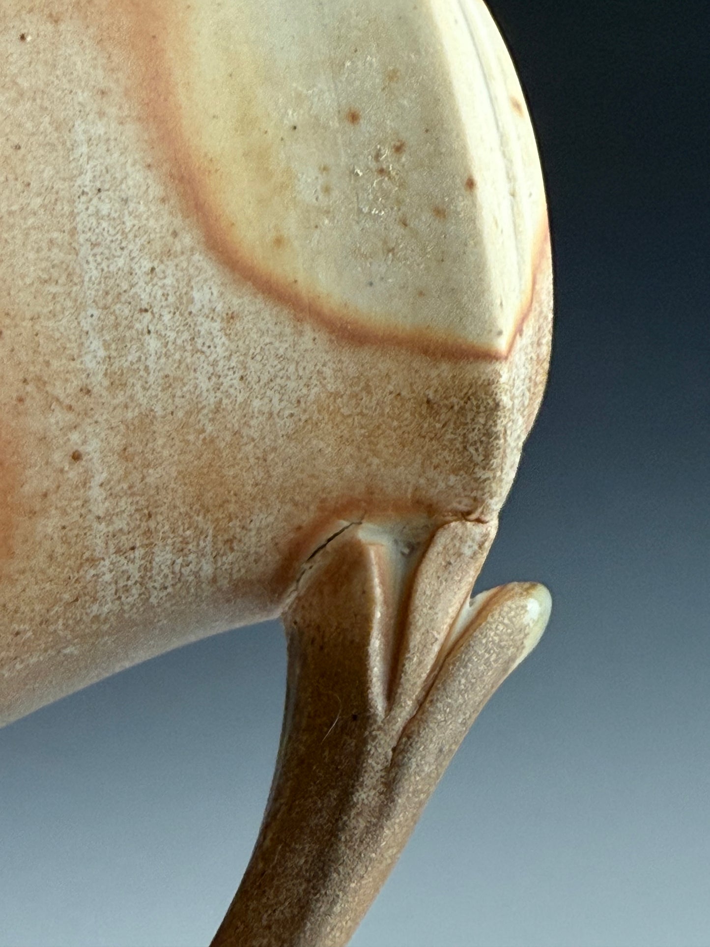 Side-fired mug