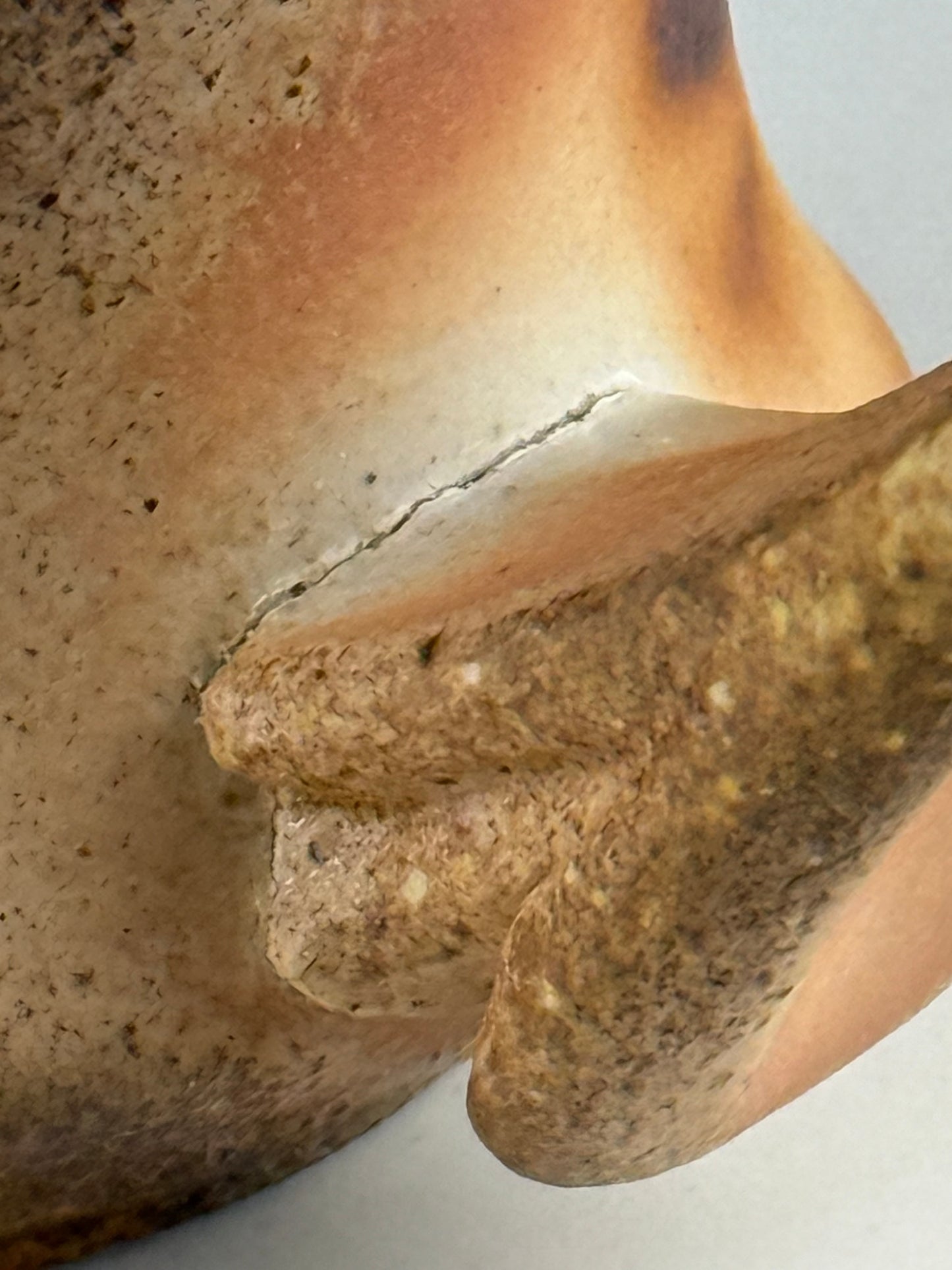 Side-fired mug
