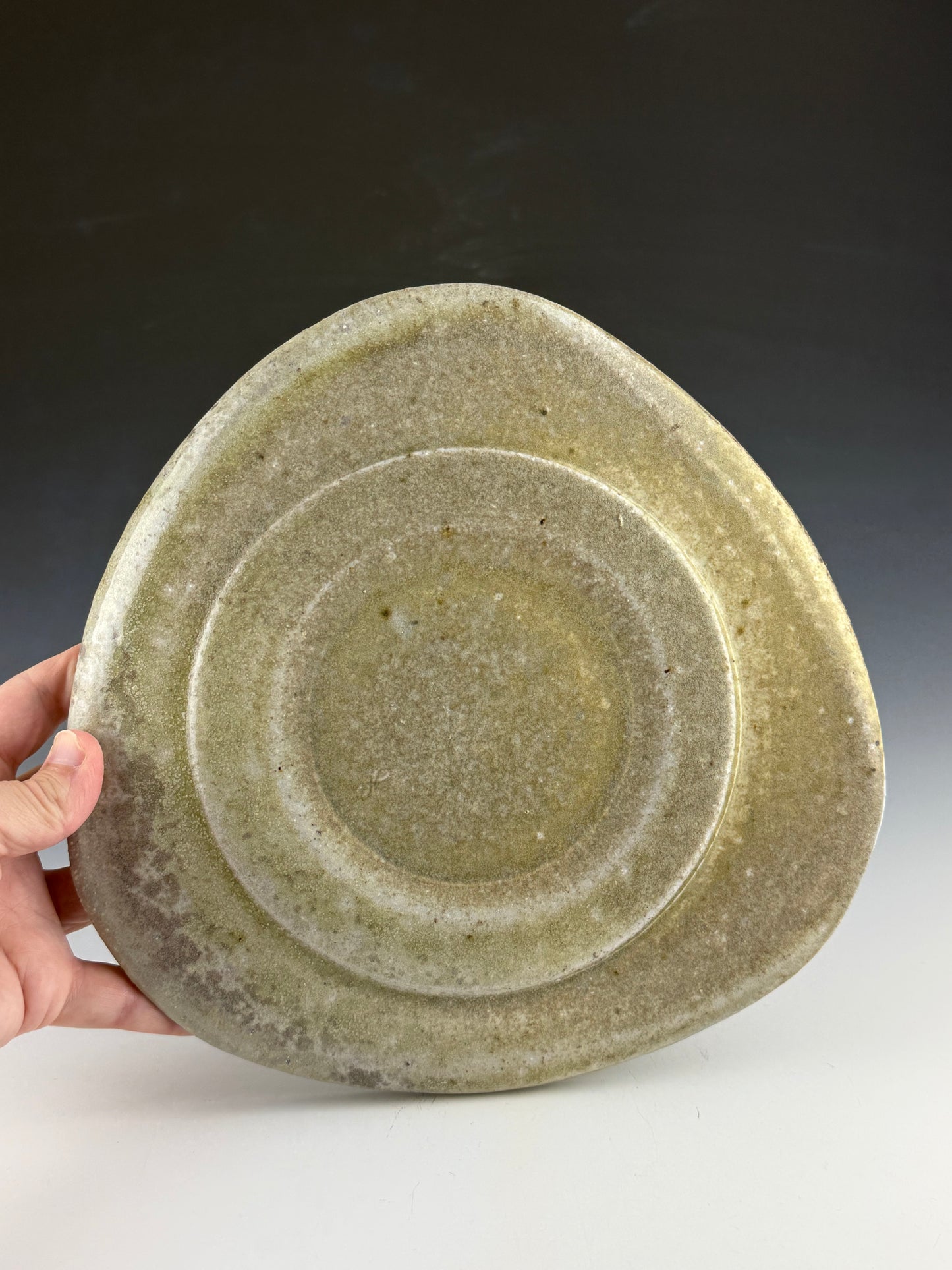Dinner plate with a carved lip