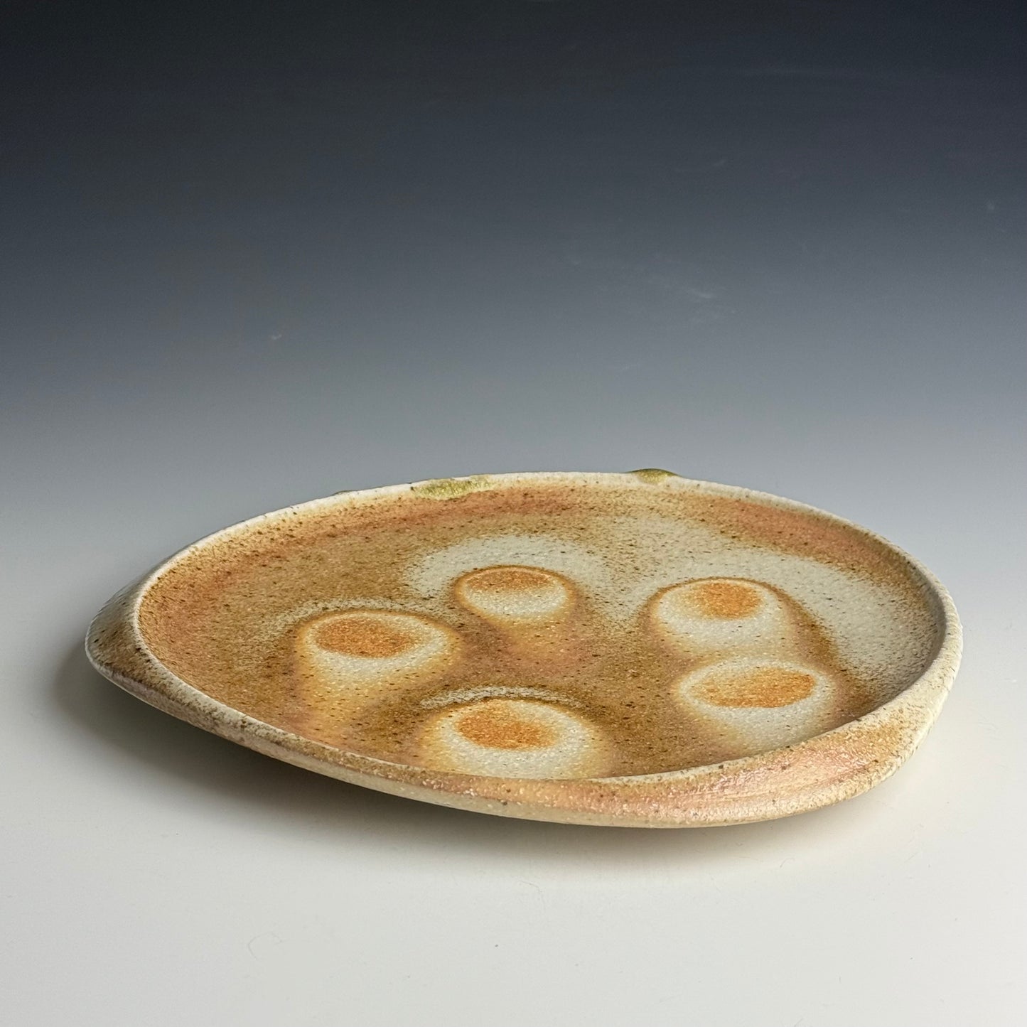 Dinner plate with a carved lip