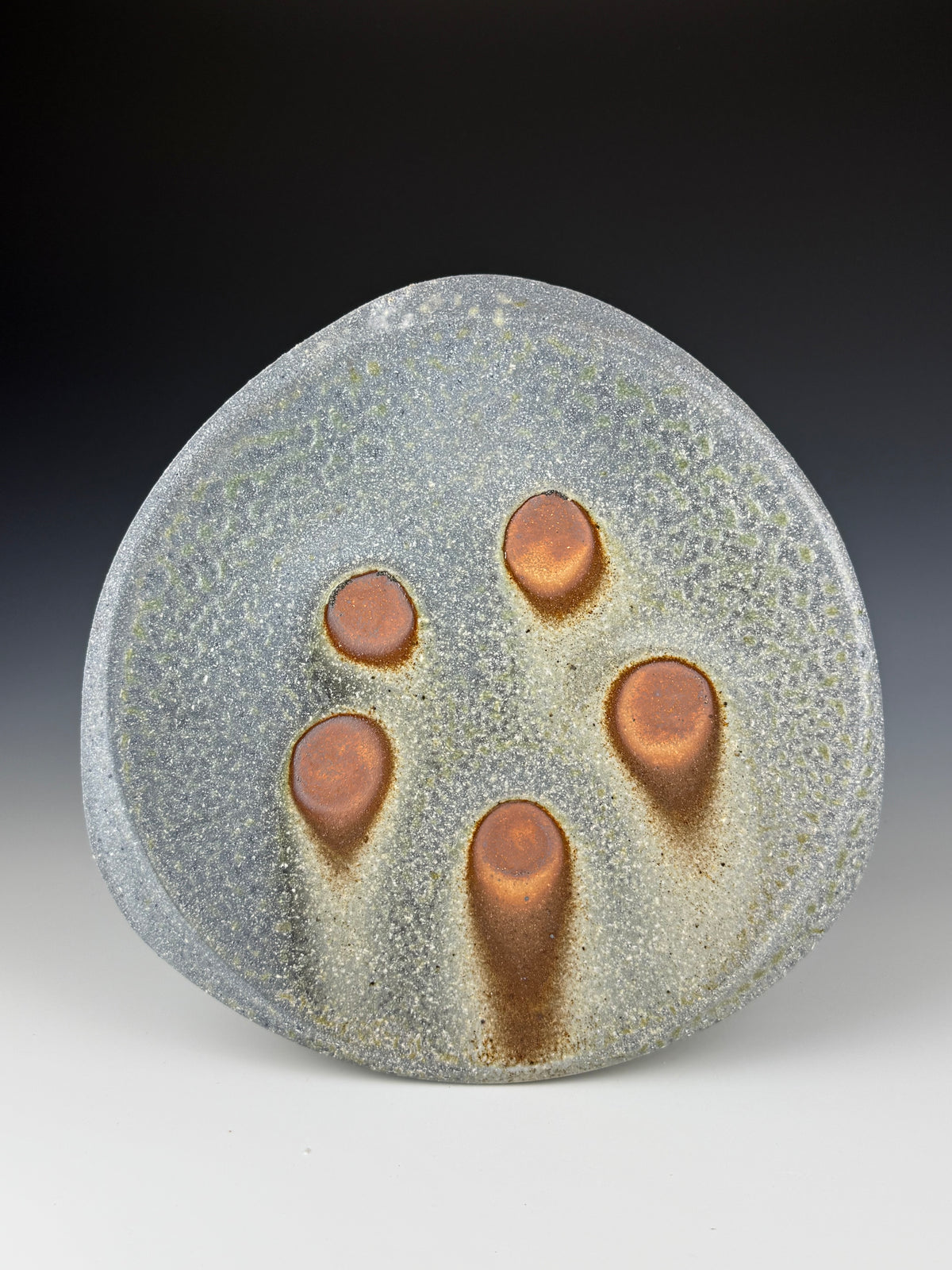 Dinner plate