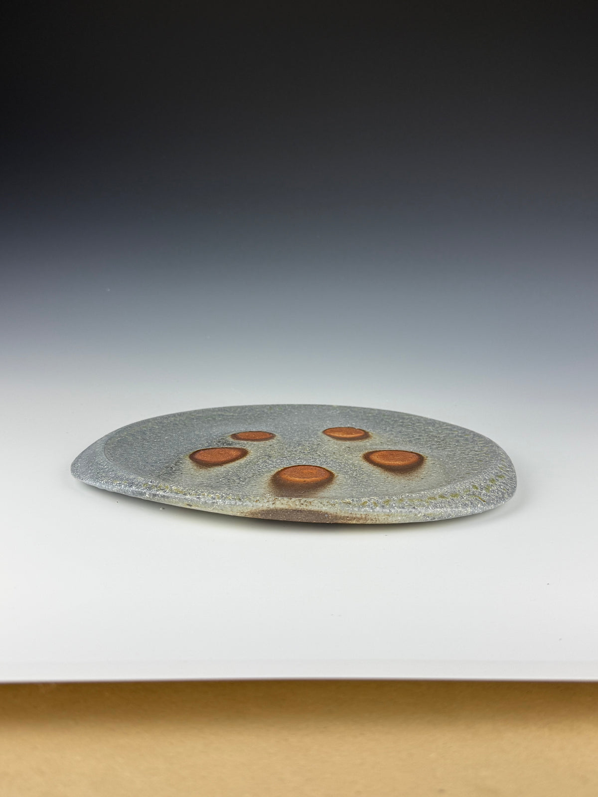 Dinner plate