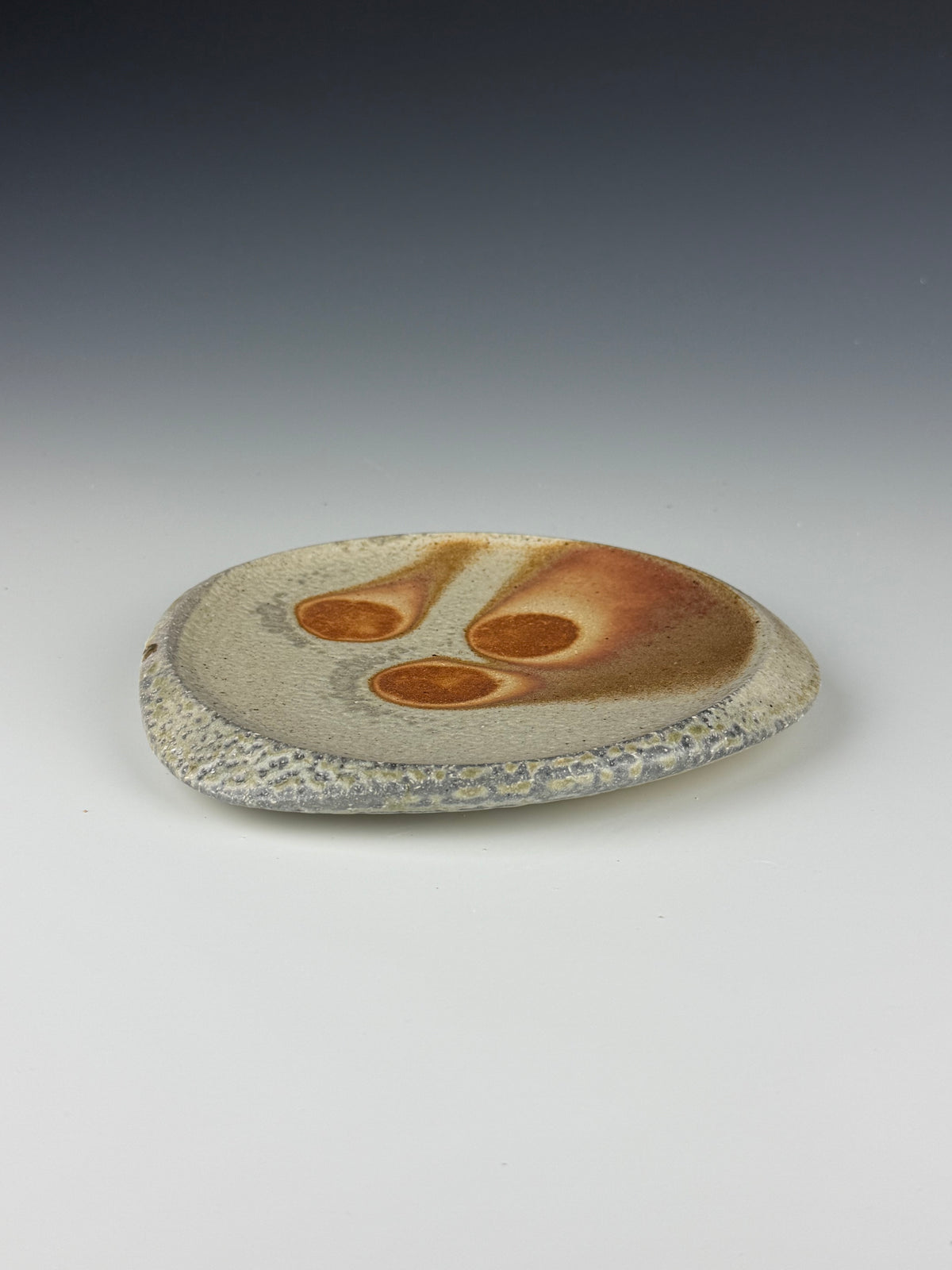 Lunch plate